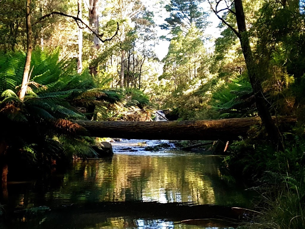 Morwell River Falls Reserve | park | Morwell River Rd, Grand Ridge VIC 3870, Australia