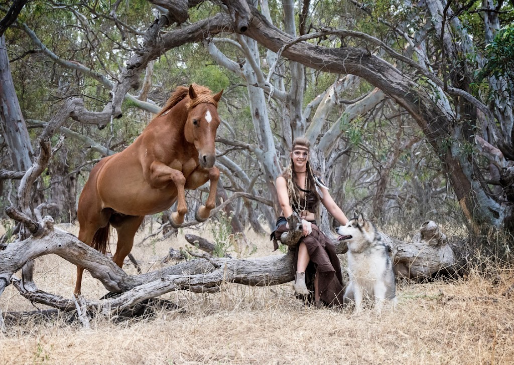 Intrinsic Equine | Everard Rd, Kyabram VIC 3620, Australia | Phone: 0447 431 584