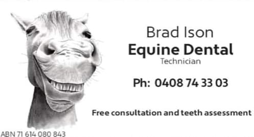 Brad Ison Equine Dental | dentist | 241 Fernvale Rd, Fairney View QLD 4306, Australia | 0408743303 OR +61 408 743 303