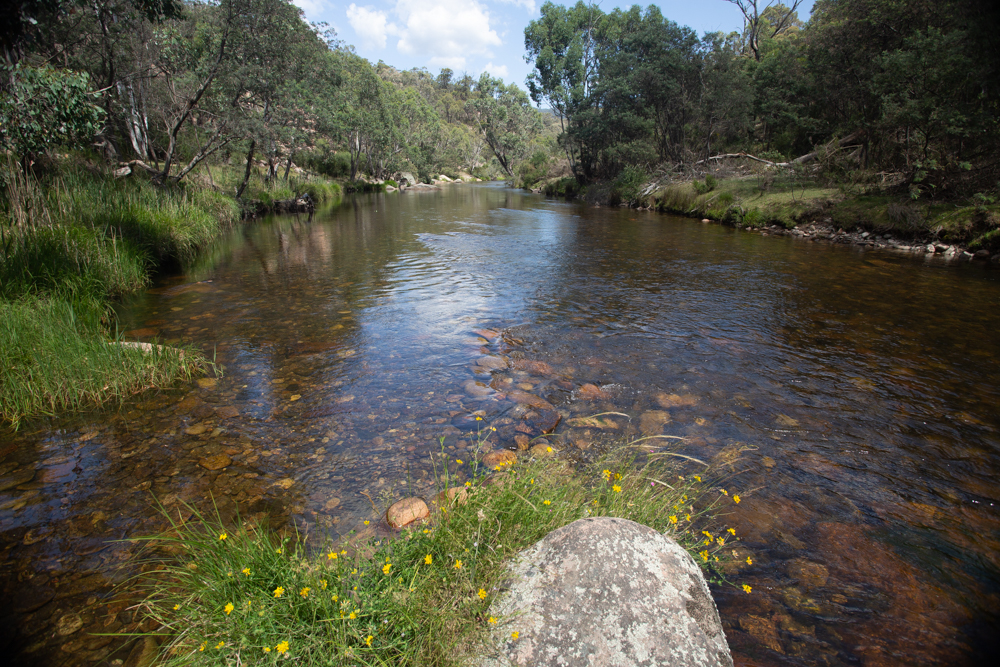 Bundarra River Picnic Area | Bundarra Road, Glen Valley VIC 3898, Australia | Phone: 13 19 63