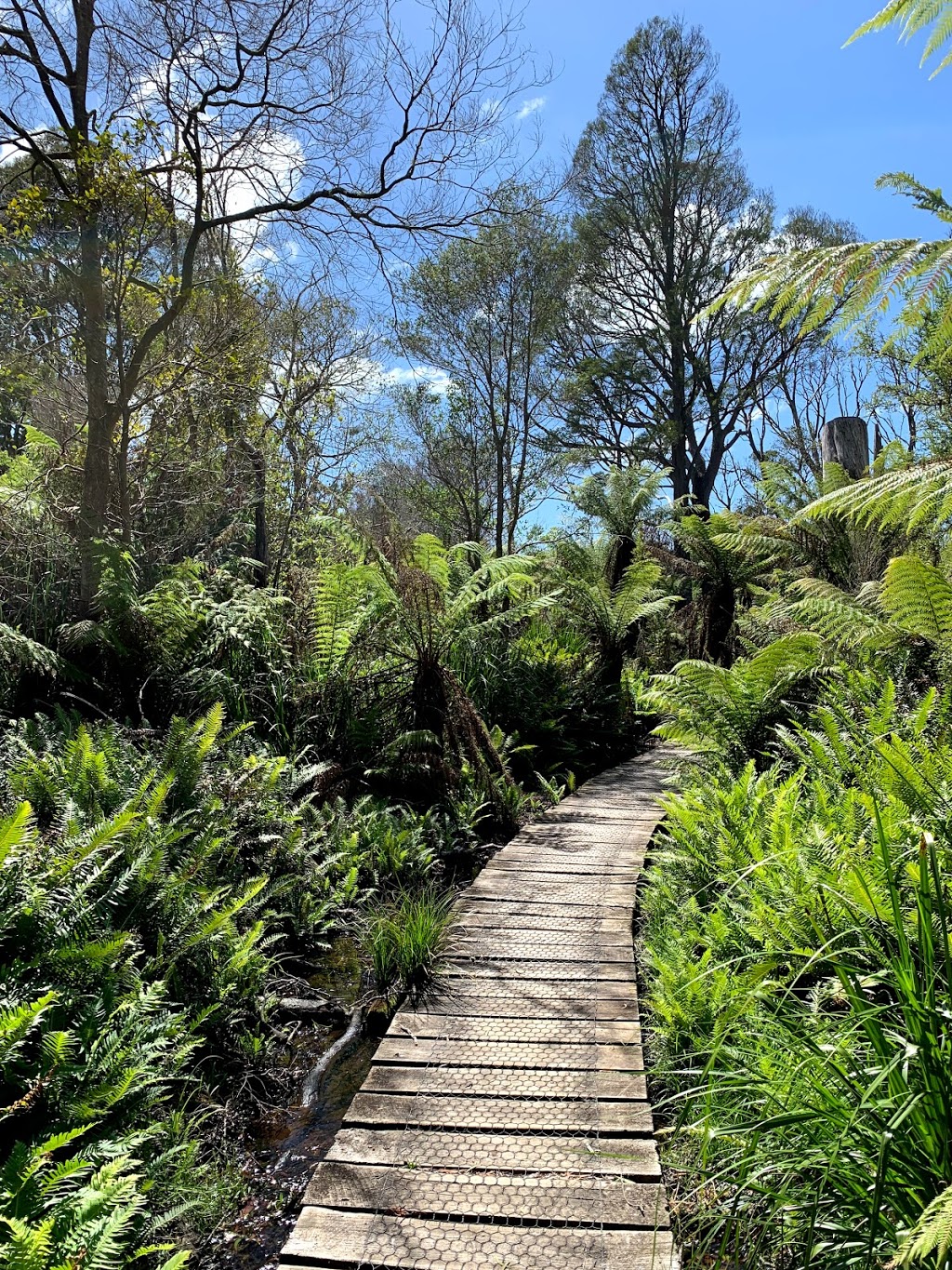 Sealers Cove | park | Wilsons Promontory VIC 3960, Australia