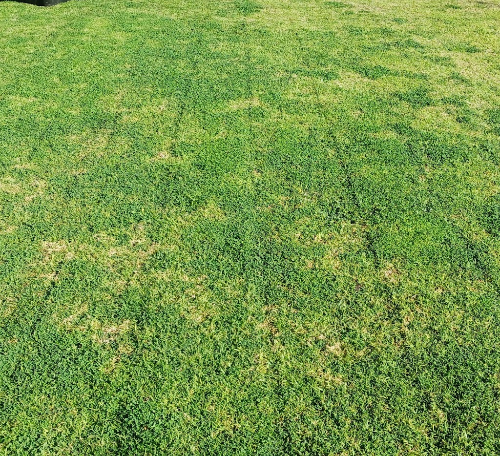 P-Ferned Property Services | 108 Zacher Rd, Longford VIC 3851, Australia | Phone: 0413 440 657
