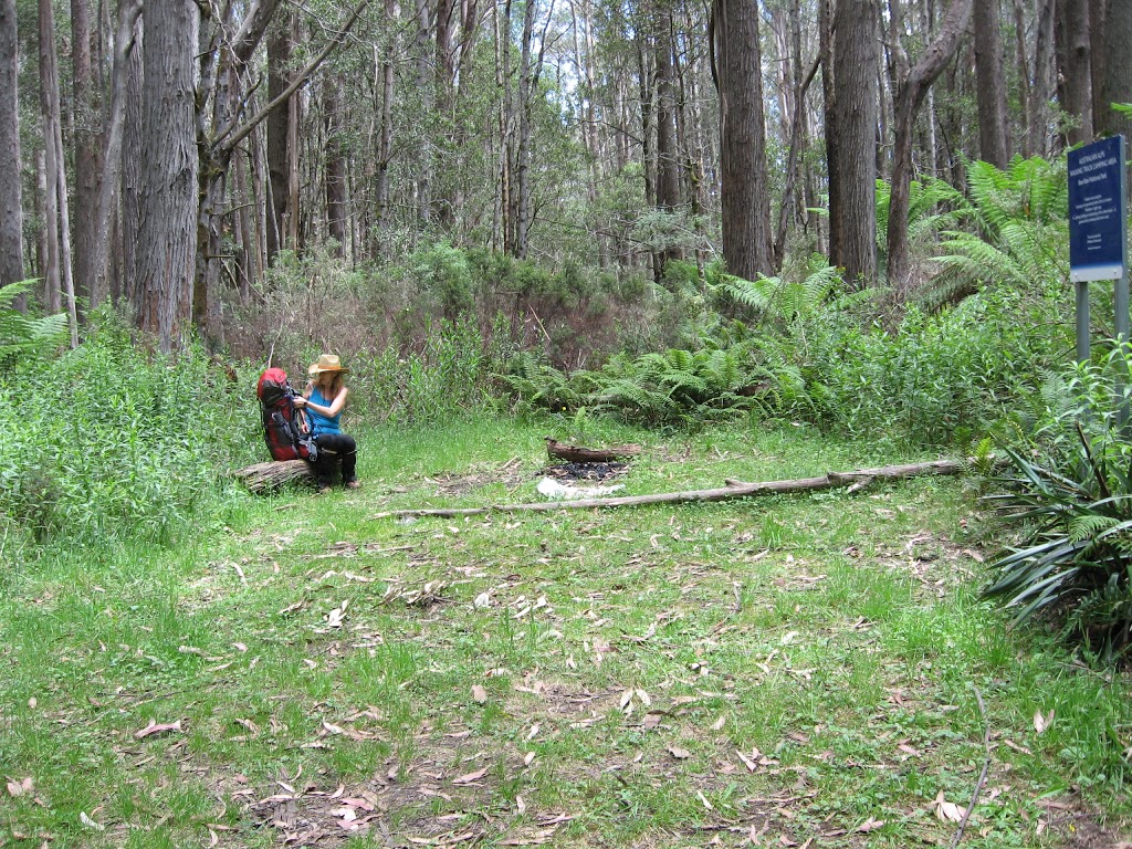 Stronachs Camping Area | Jericho VIC 3833, Australia