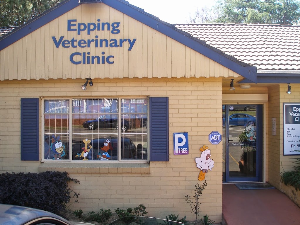 Epping Veterinary Clinic | 76 Carlingford Rd, Epping NSW 2121, Australia | Phone: (02) 9869 2771