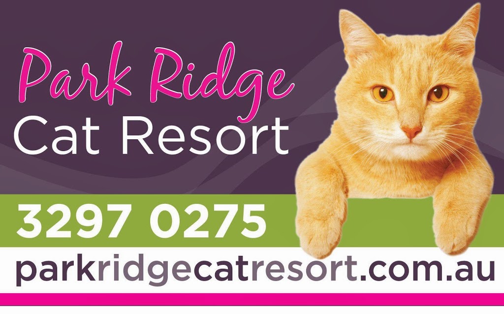 Park Ridge Cat Resort | veterinary care | 3994 Mount Lindesay Hwy, Park Ridge South QLD 4125, Australia | 0732970275 OR +61 7 3297 0275