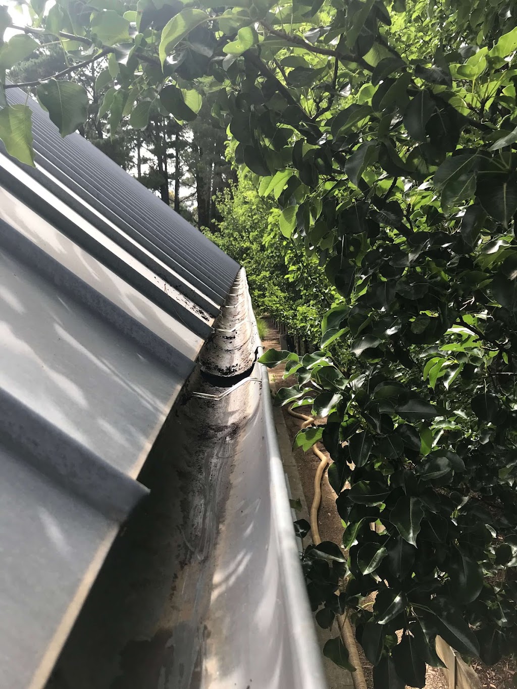 I Clean Gutters | 16 Skinner St, Hastings VIC 3915, Australia | Phone: 0414 221 230