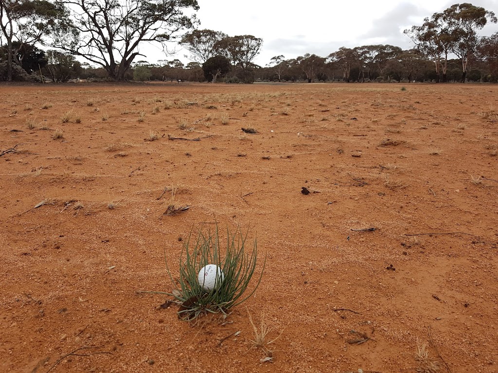 Norseman Golf Club | Norseman WA 6443, Australia | Phone: (08) 9039 1589