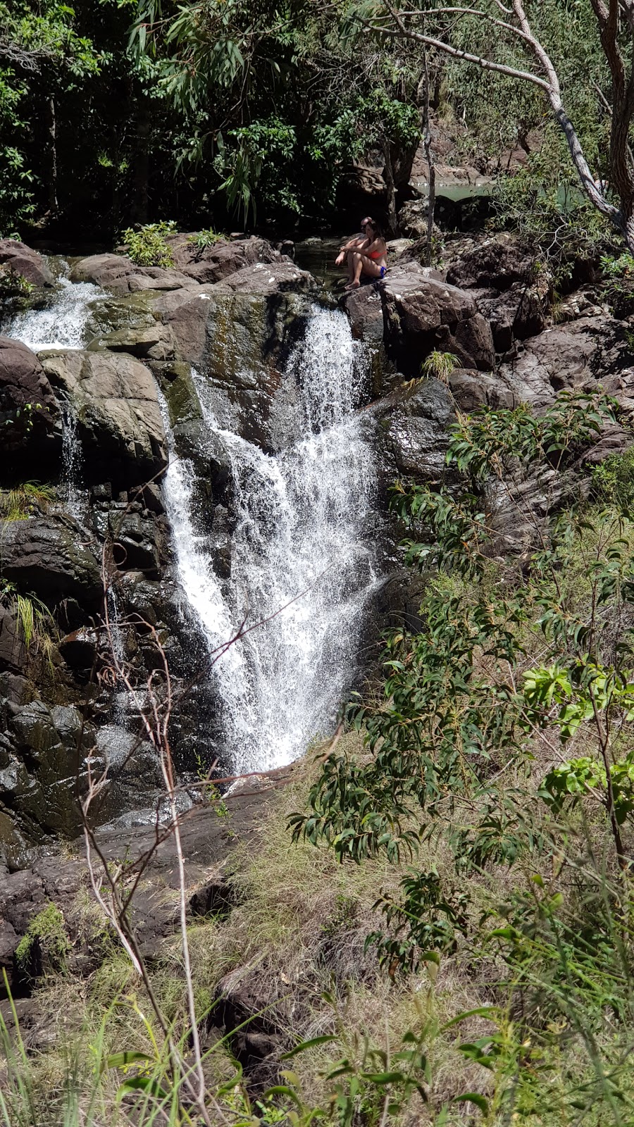 Attie Creek Falls | park | Cardwell QLD 4849, Australia | 0740662412 OR +61 7 4066 2412