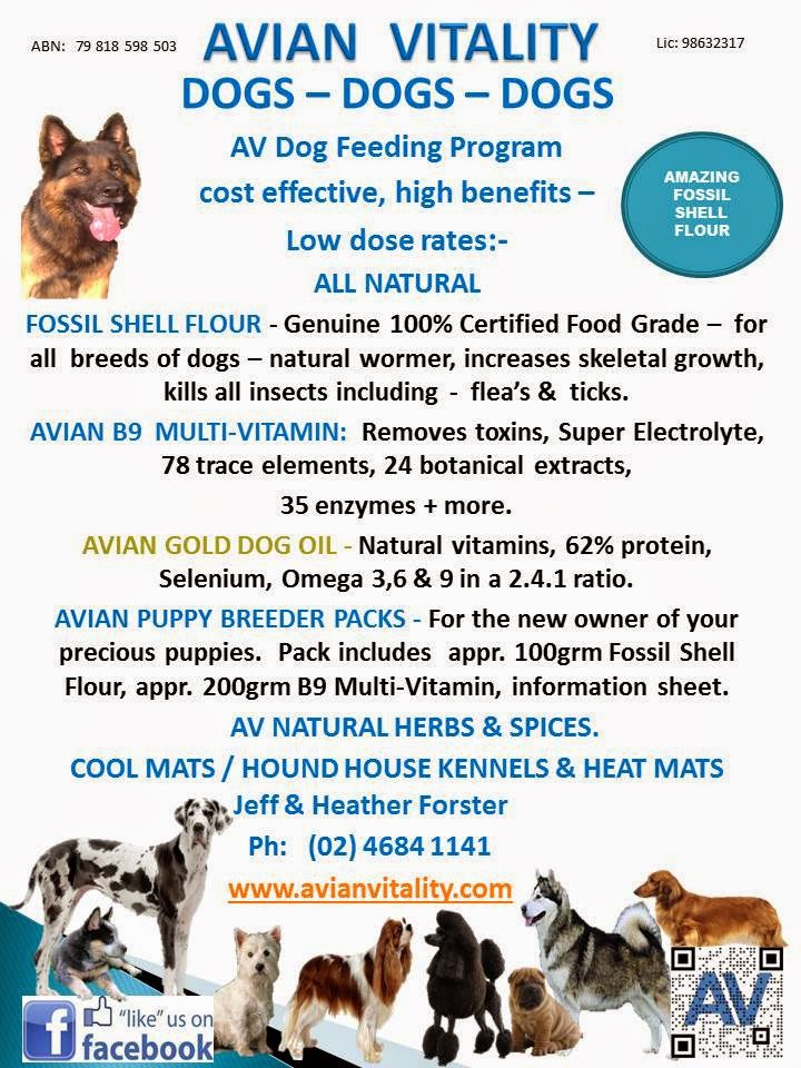 Avian Vitality | 37 Wellers Rd, Bargo NSW 2574, Australia | Phone: (02) 4684 1141