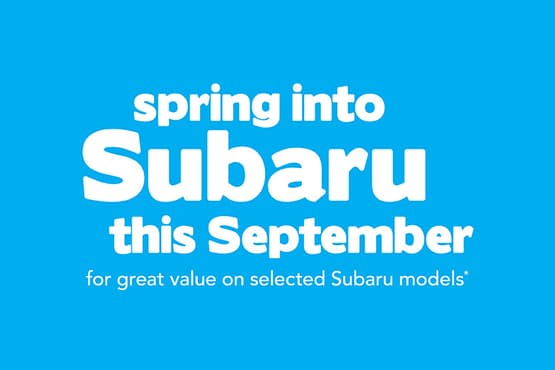 Muswellbrook Subaru | car dealer | 15-17 Rutherford Rd, Muswellbrook NSW 2330, Australia | 0265432577 OR +61 2 6543 2577