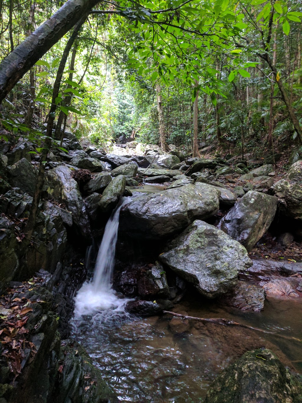 Davies Creek National Park and Dinden National Park | Davies Creek Rd, Mareeba QLD 4880, Australia | Phone: 13 74 68