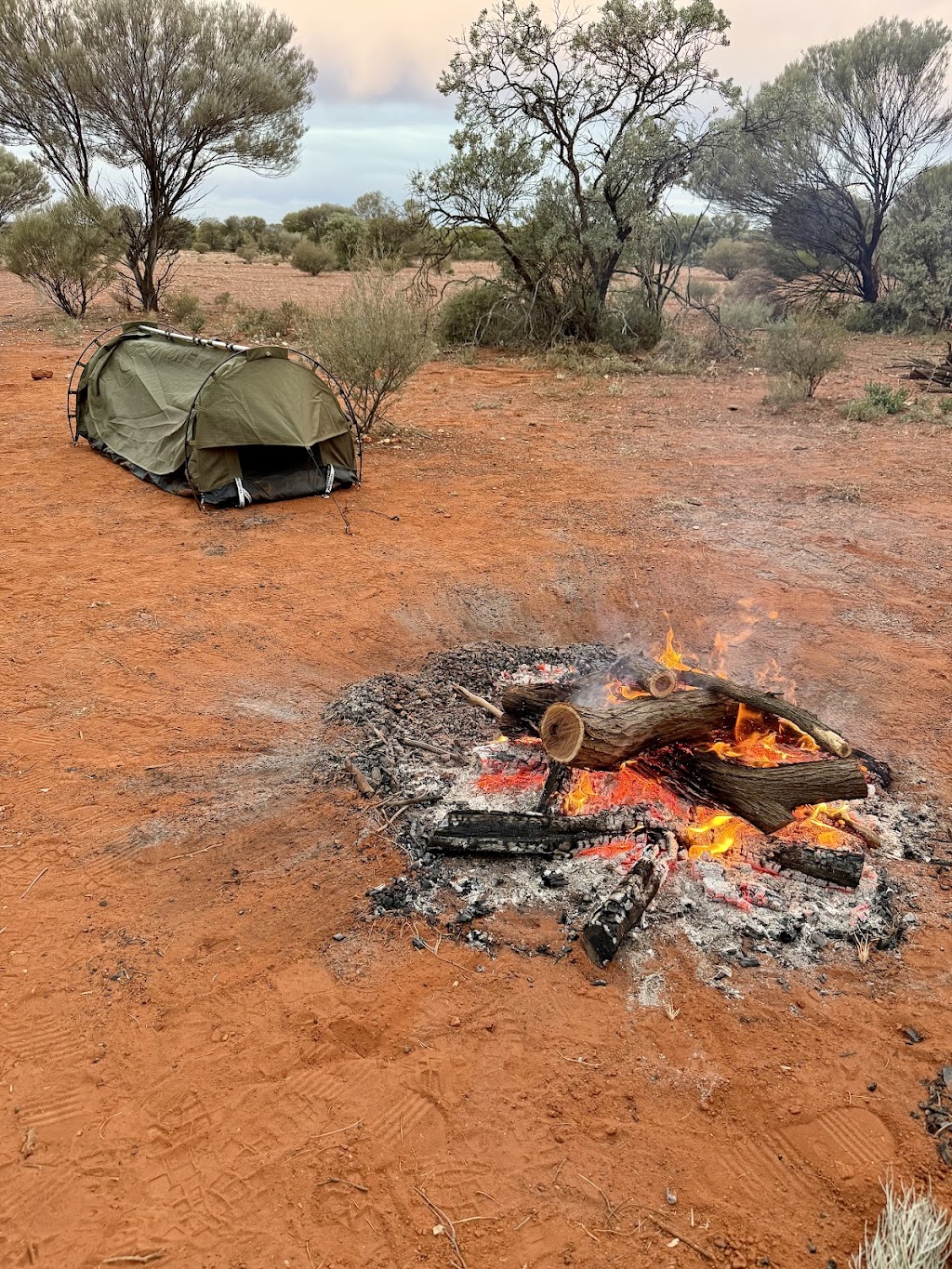 Morapoi Station | Unnamed Road, Kookynie WA 6431, Australia | Phone: 0417 911 485