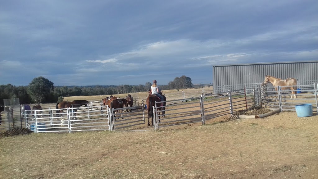 Hunter Valley Horses | travel agency | 917 Hermitage Rd, Pokolbin NSW 2320, Australia | 0431337367 OR +61 431 337 367