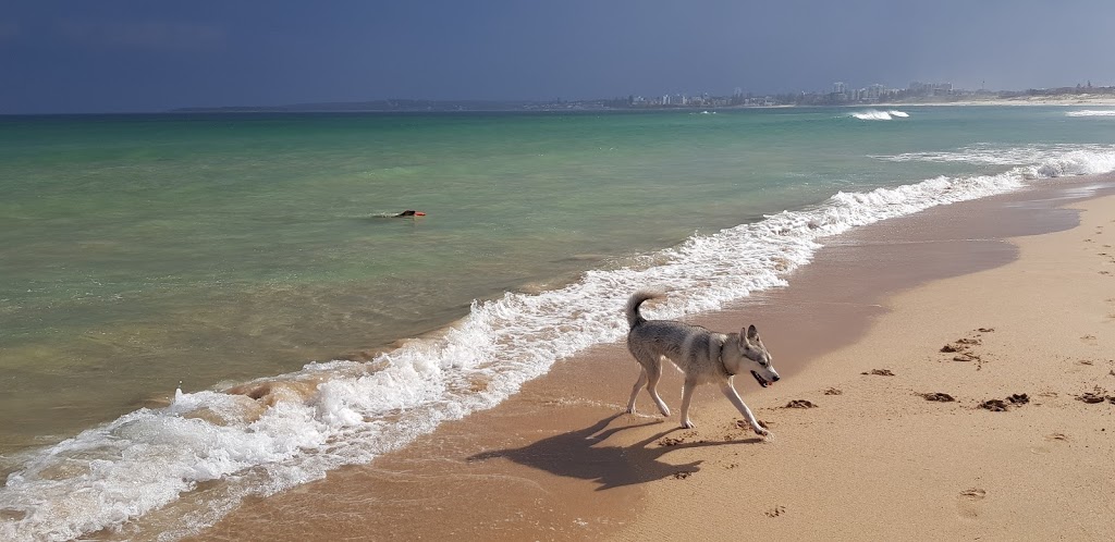 Greenhills Beach Dog Off Lead | Greenhills St, Kurnell NSW 2231, Australia