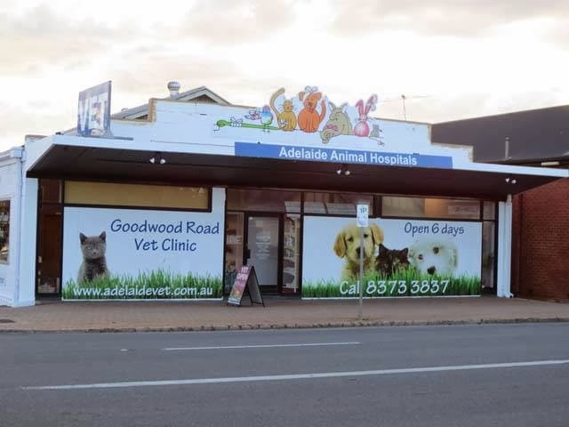 AdelaideVet Goodwood Road | veterinary care | 446 Goodwood Rd, Cumberland Park SA 5041, Australia | 0881699755 OR +61 8 8169 9755