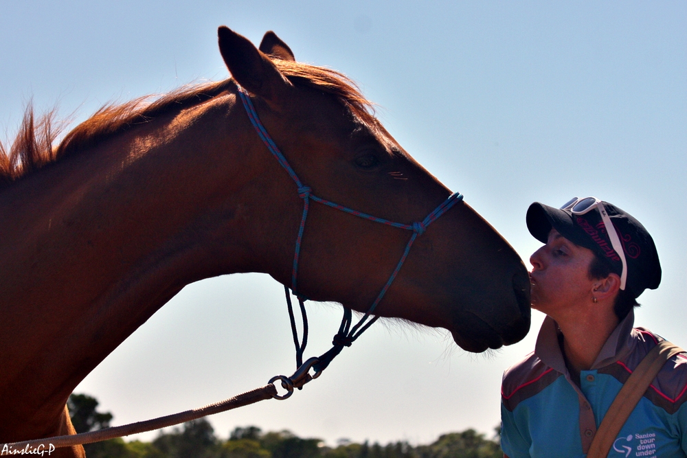 Windamere Horse Haven Associated Incorporated |  | 589 Burfords Hill Rd, Mount Torrens SA 5244, Australia | 0434944194 OR +61 434 944 194