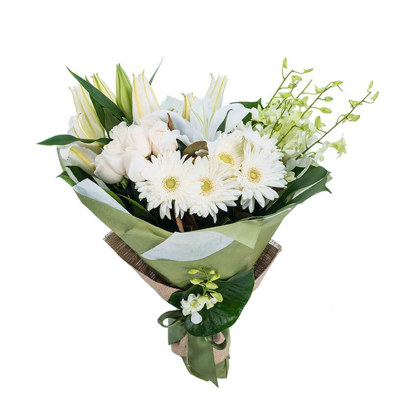 Captainshop | Flower Delivery Sydney & Best Florist | 55 Albert St, Freshwater NSW 2096, Australia | Phone: (02) 9905 3577