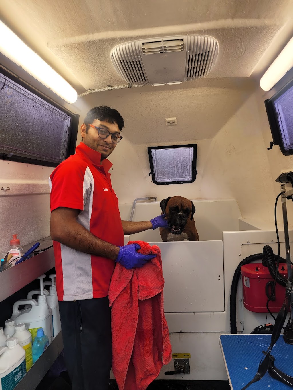 Jims Dog Wash North Albury | 33 Carstens St, Lavington NSW 2641, Australia | Phone: 0483 092 411