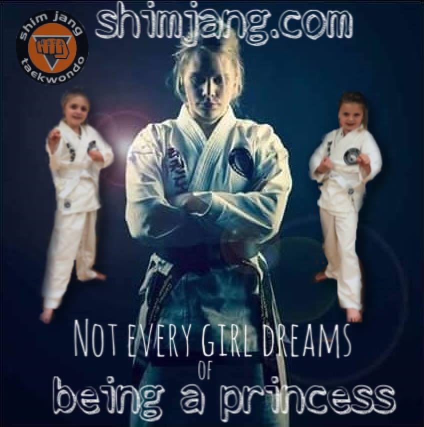 Shim Jang Taekwondo | 154 Dixon Dr, Pimpama QLD 4209, Australia | Phone: 0413 580 093