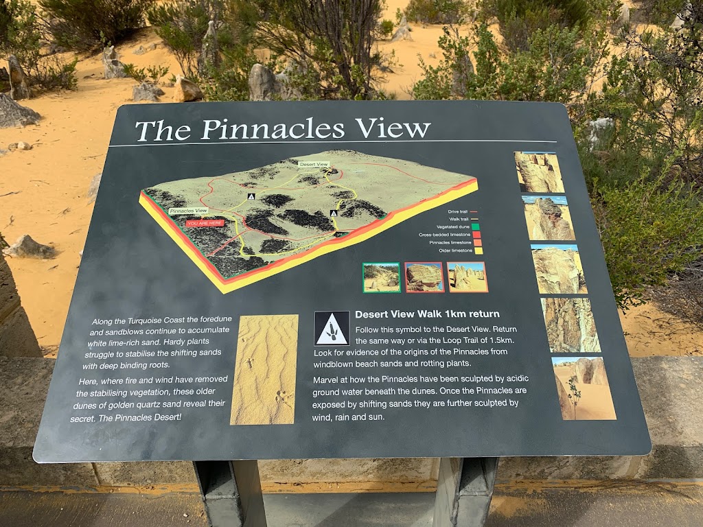 The Pinnacles Desert | tourist attraction | Pinnacles Dr, Cervantes WA 6511, Australia | 0896527913 OR +61 8 9652 7913