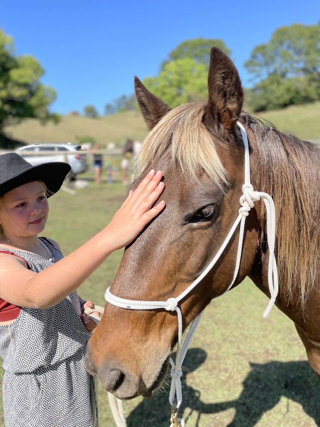 Equine Assisted Learning |  | Kureelpa Falls Rd, Kureelpa QLD 4560, Australia | 0411644313 OR +61 411 644 313