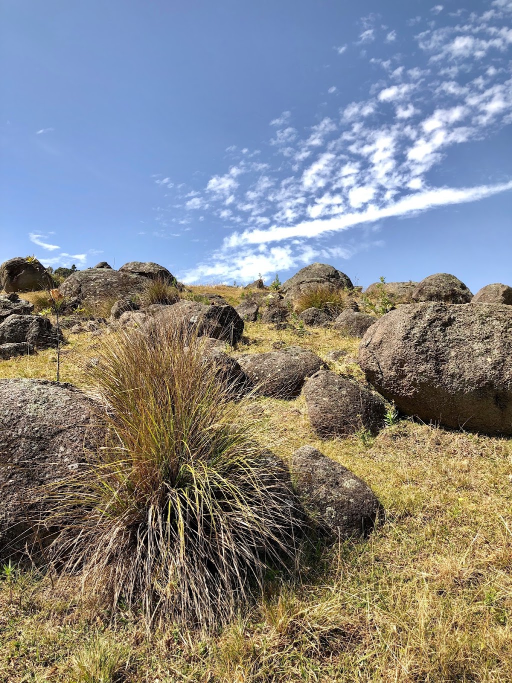 Lamington National Park | OReilly QLD 4275, Australia