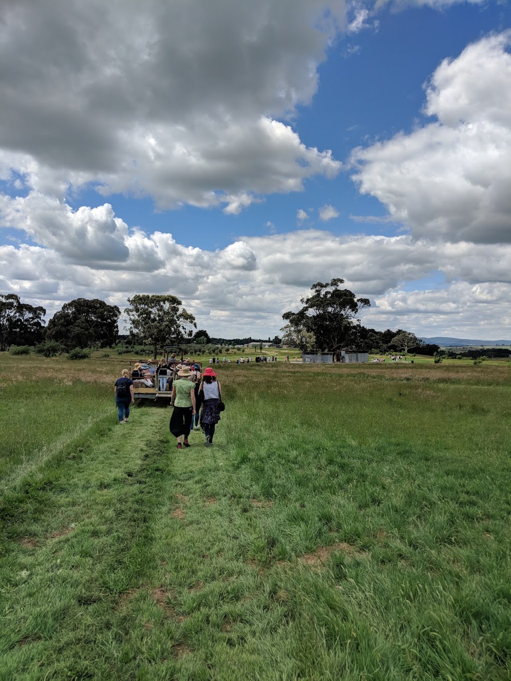 Taranaki Farm | 5 Falloons Rd, Woodend VIC 3442, Australia | Phone: 0409 980 438