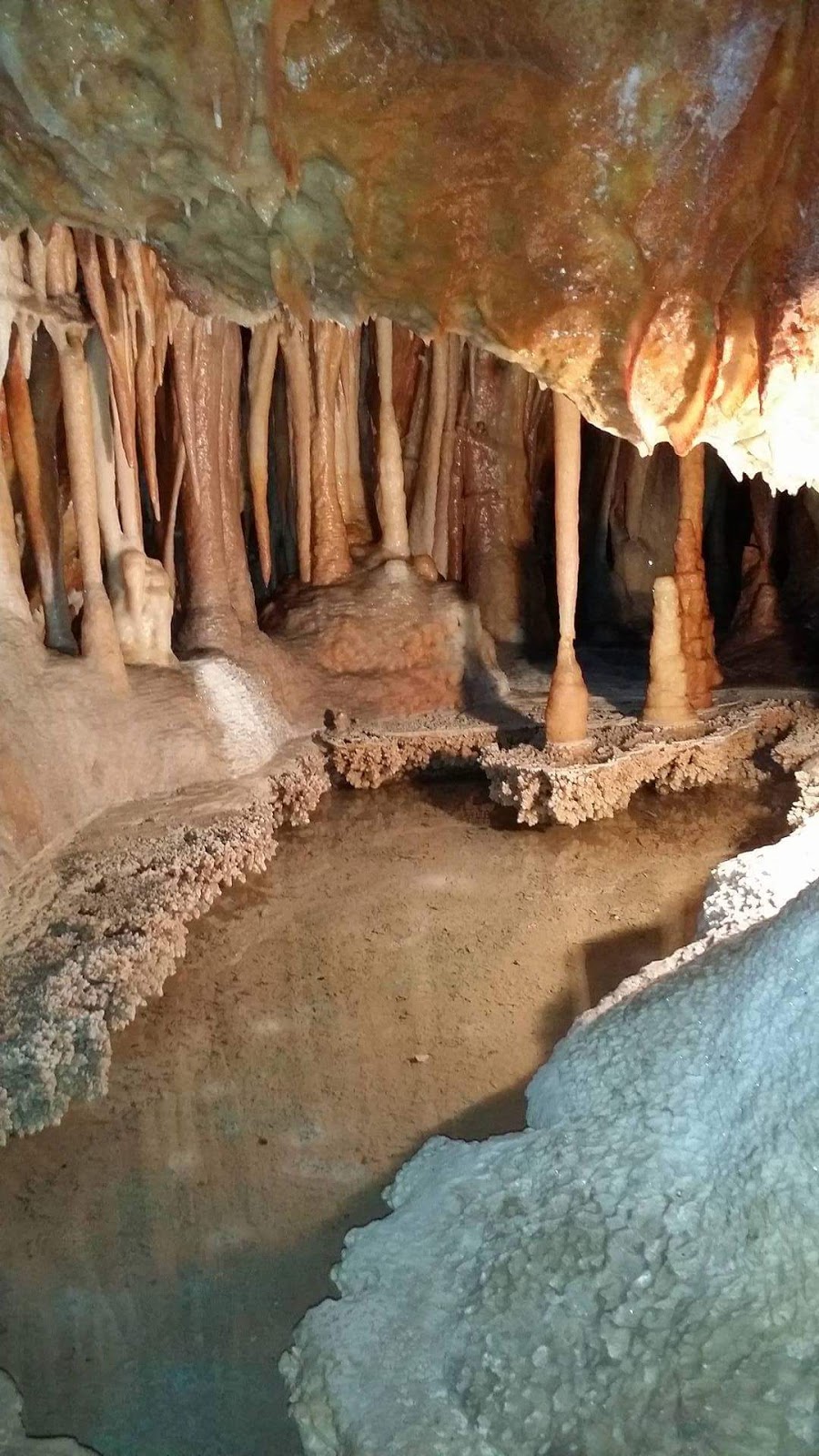 Yarrangobilly Caves Visitor Centre | travel agency | Yarrangobilly Caves Entry Road, Yarrangobilly NSW 2720, Australia | 0264549597 OR +61 2 6454 9597