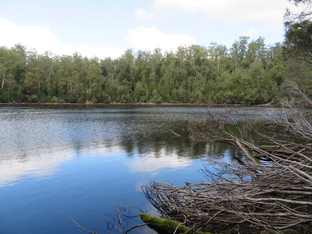 Lake Chisholm Forest Reserve | West Coast TAS 7321, Australia