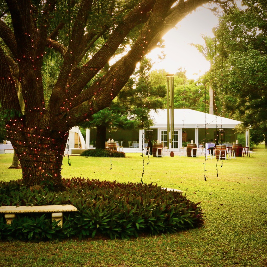 Weddings In The Grove | 295 Rosedale Rd, Bundaberg QLD 4670, Australia | Phone: (07) 4155 9098