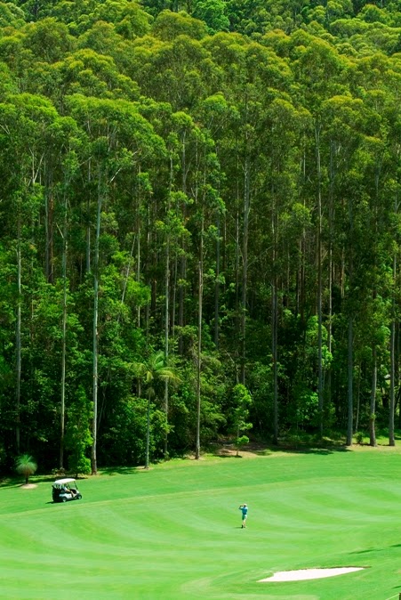 Bonville Golf Resort | N Bonville Rd, Bonville NSW 2441, Australia | Phone: 1300 722 444