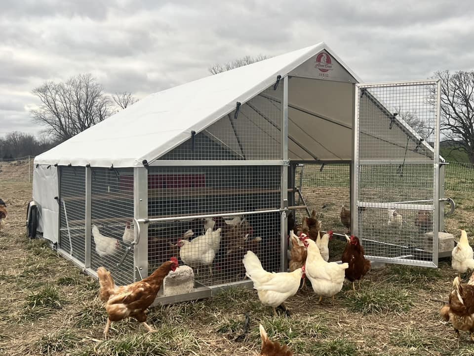 Cluckington | 396 Tschampions Rd, Macclesfield VIC 3782, Australia | Phone: 0414 868 655