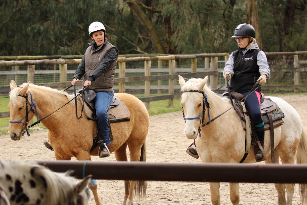 Horse Safety Australia | 6B Old Bull Creek Rd, Strathalbyn SA 5255, Australia | Phone: 0411 685 211