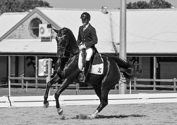 Thistle Park Equestrian | 392 Henderson Rd, Hopeland WA 6125, Australia | Phone: 0432 828 150