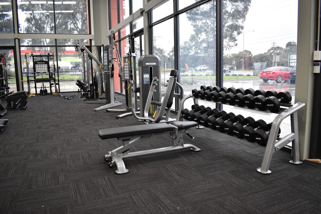 Dynamo Fitness Equipment - Melbourne | store | 1/1a Southpark Cl, Keysborough VIC 3173, Australia | 0387523695 OR +61 3 8752 3695