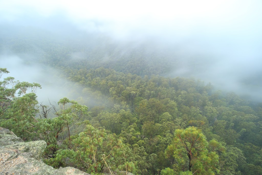 Victoria Falls Lookout | tourist attraction | Victoria Falls Rd, Bell NSW 2786, Australia | 0299955555 OR +61 2 9995 5555