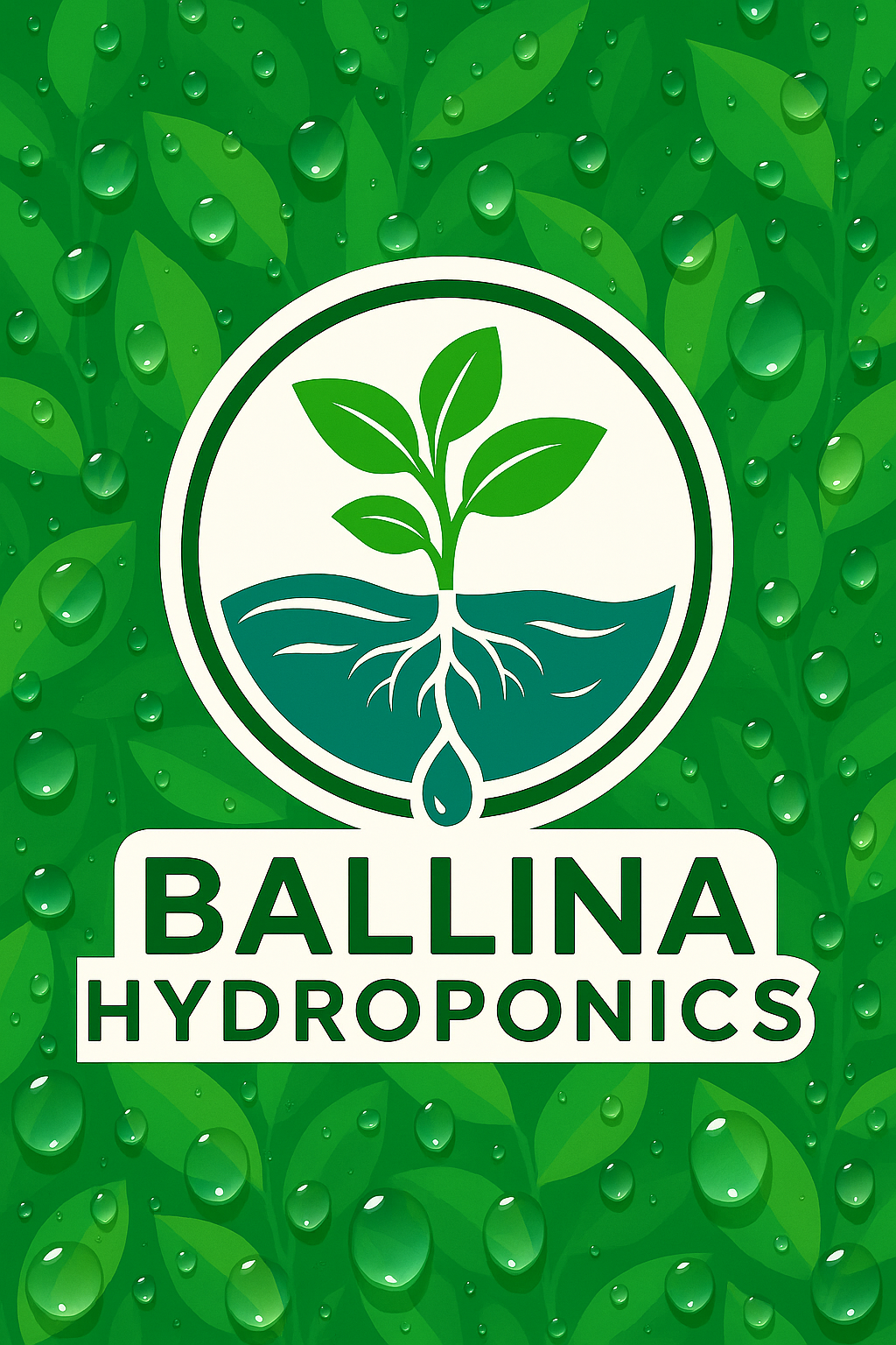 Ballina Hydroponics | 4/1 Stinson St, Ballina NSW 2478, Australia | Phone: 0435 465 303 Ballina Hydroponics | 4/1 Stinson St, Ballina NSW 2478, Australia | Phone: 0435 465 303
