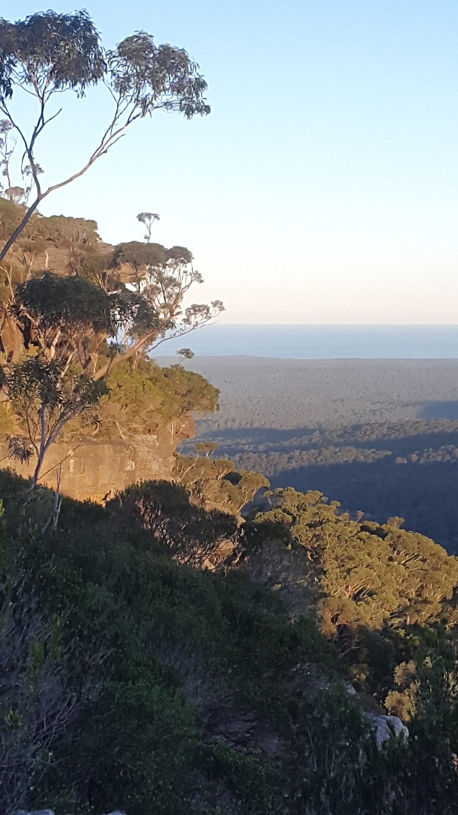 Morton National Park - Little Forest & Florance Head | park | Florance Head Firetrail, Porters Creek NSW 2538, Australia