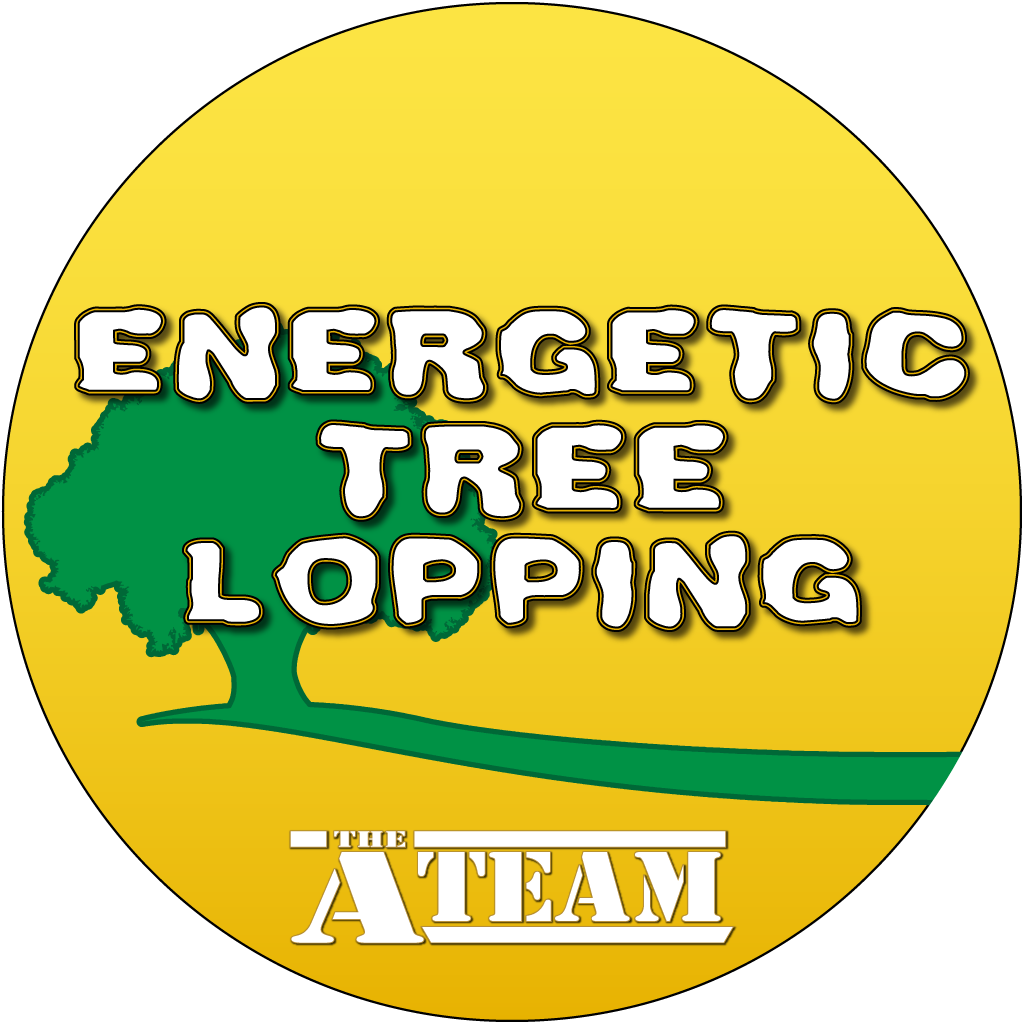 Energetic Tree Lopping |  | 85 Minerva Rd, Wedderburn NSW 2560, Australia | 0416072453 OR +61 416 072 453