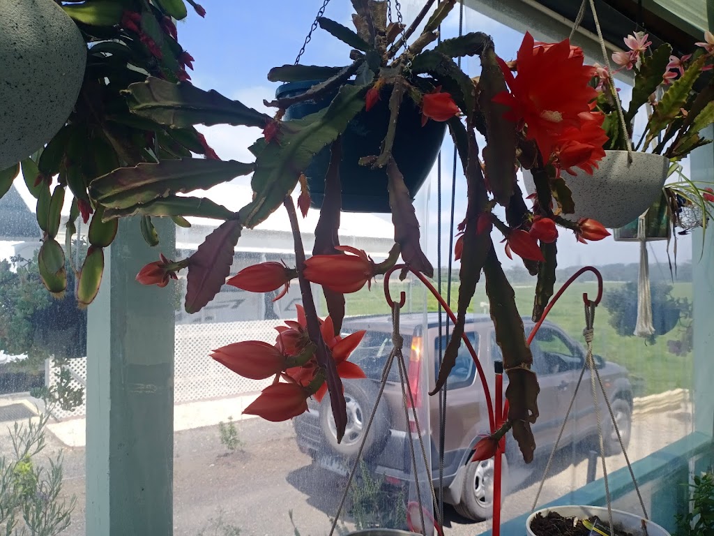 Settlers Rest Caravan Park | 111 Morrison Rd, Longwarry North VIC 3816, Australia | Phone: 0435 941 112