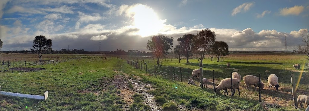 Hives, Hooves & Hens |  | 114 Malseeds Rd, Willatook VIC 3283, Australia | 0418310444 OR +61 418 310 444