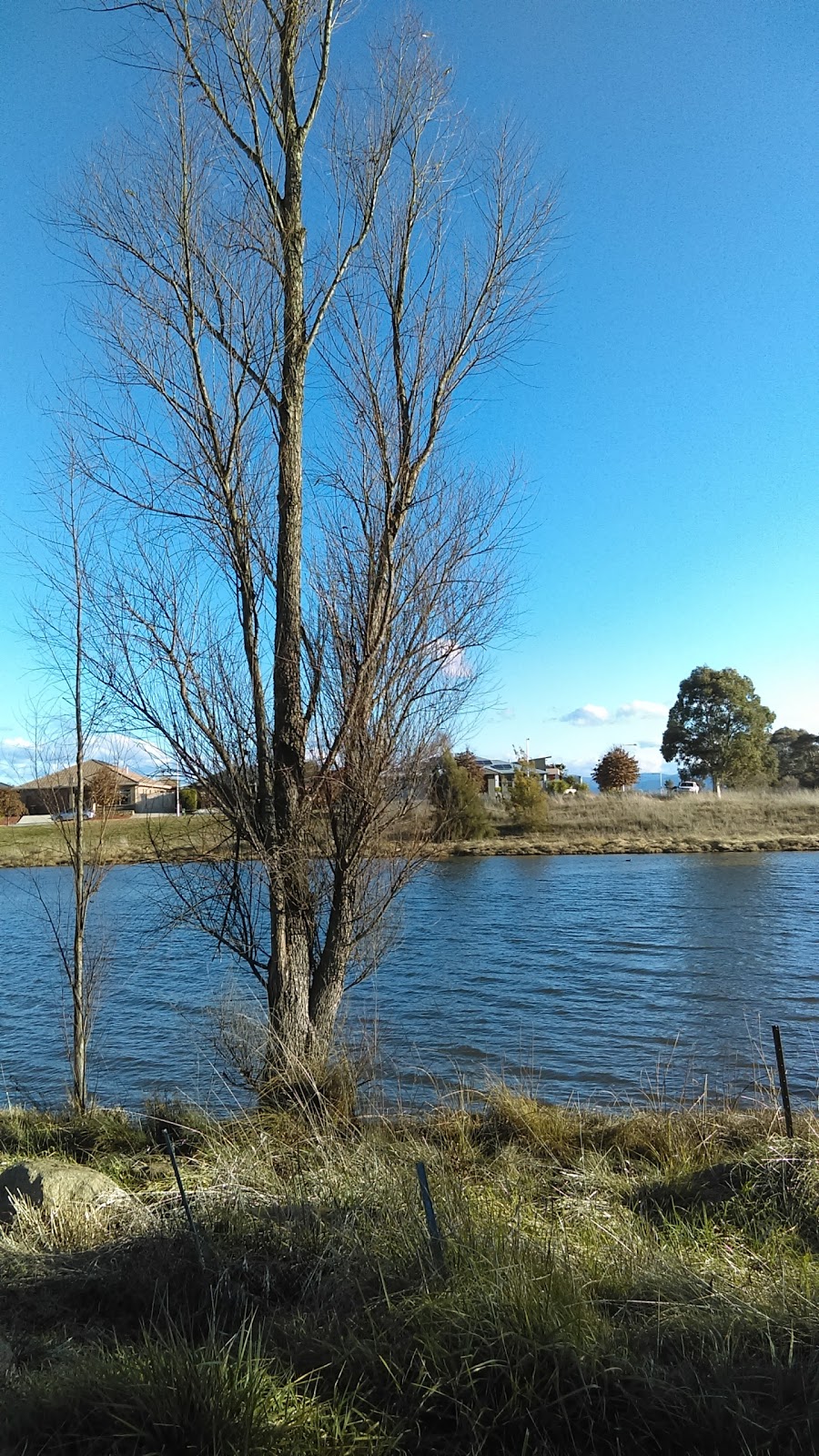 West Belconnen Pond | park | Dunlop ACT 2615, Australia