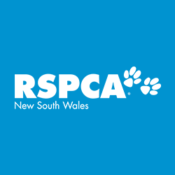 RSPCA Orange Shelter | veterinary care | 71 William St, Orange NSW 2800, Australia | 0263626171 OR +61 2 6362 6171