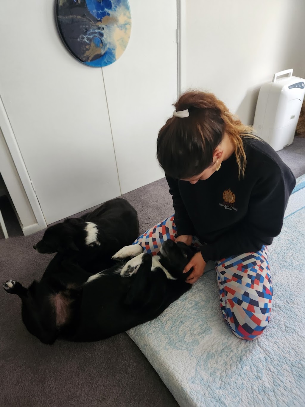 Mar Biologist - Shiatsu - Reflexology | South Grafton NSW 2460, Australia | Phone: 0452 418 769
