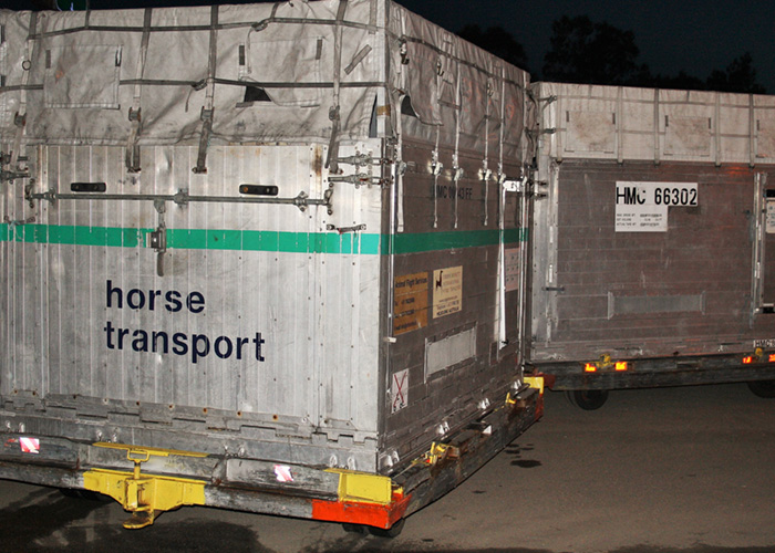 Equine International Airfreight | 1.3/394 Lane Cove Rd, Macquarie Park NSW 2113, Australia | Phone: (02) 8817 0300