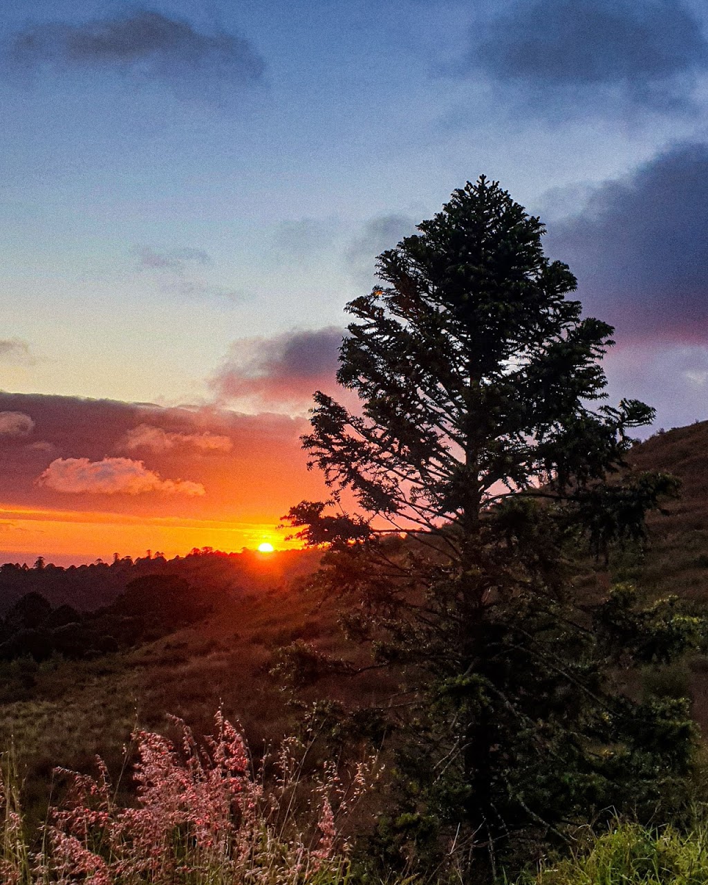 Bunya Mountains Astrophotography | 126 Grimely St, Bunya Mountains QLD 4405, Australia | Phone: 0458 680 587