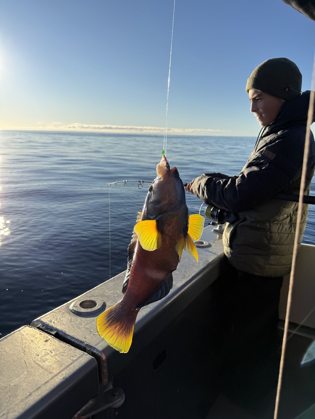 Eaglehawk Neck Fishing Charters Tasmania | Pirates Bay boat ramp, Eaglehawk Neck TAS 7179, Australia | Phone: 0439 617 200