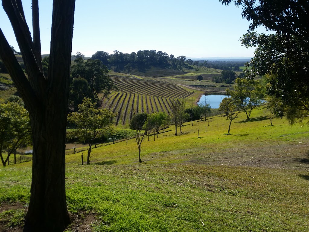 Carillion Wines | Carillion Wines @ Tallavera Grove Vineyard, 749 Mount View Rd, Mount View NSW 2325, Australia | Phone: (02) 4990 7535