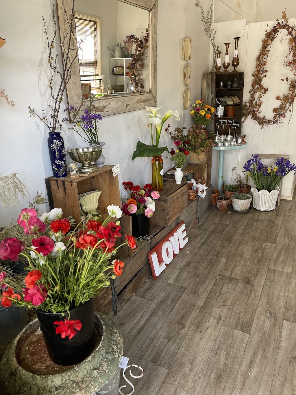 Edellen Flowers | 49 Gaskill St, Canowindra NSW 2804, Australia | Phone: 0419 847 461