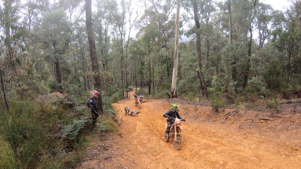 All In Dirtbike Adventures | 65 Vickery St, Alexandra VIC 3714, Australia | Phone: 0417 155 659